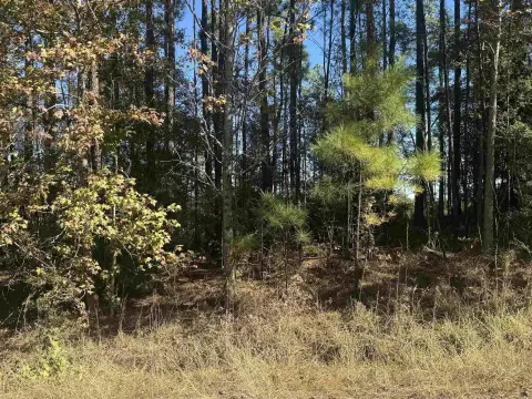 Lake Sam Rayburn Acreage Opportunity