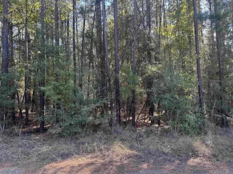 Lake Sam Rayburn Acreage Opportunity