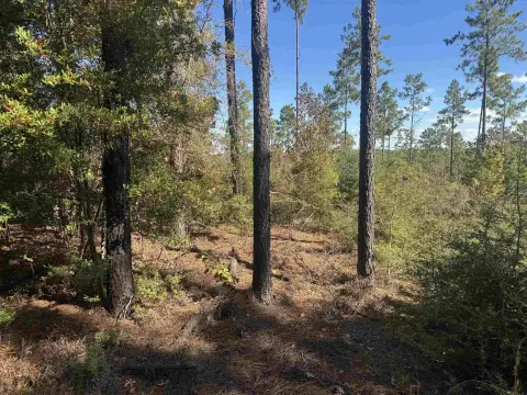 Lake Sam Rayburn Acreage Opportunity