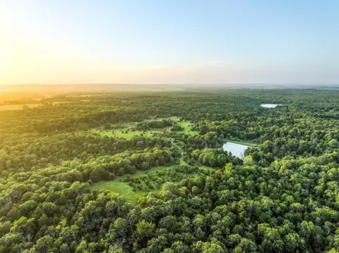 Recreational Hunting Tract with Cabin