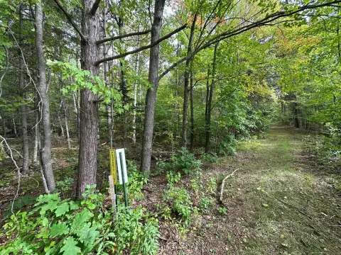 Mixed-Forest Recreation Land