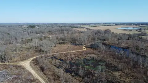 Waterfowl Hunting Waterfront Land