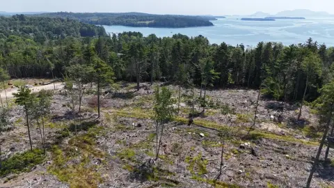 Cleared Land Near Acadia