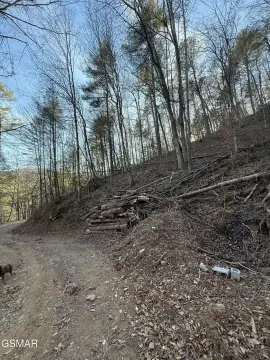 Sevierville Land in Shagbark Community