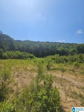33 Acres in Odenville, AL