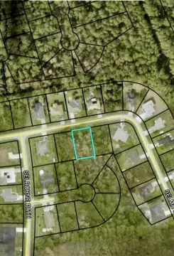 Palm Coast Land For Sale