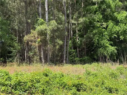 Unrestricted Lot Near Anderson