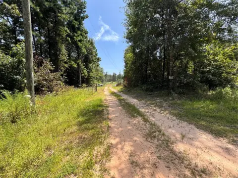 Wooded Hunting Land Tract