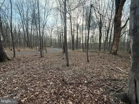 5.92 Acres in Mount Airy