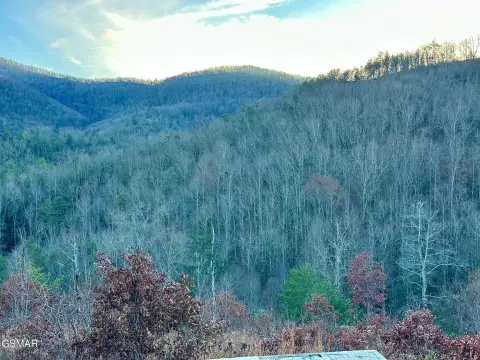 Serenity Cove Mountain View Land