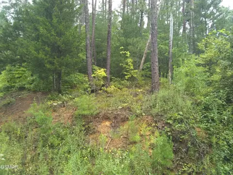 Residential Land in Sevierville, TN