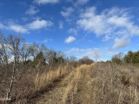 Agricultural Land with Creek