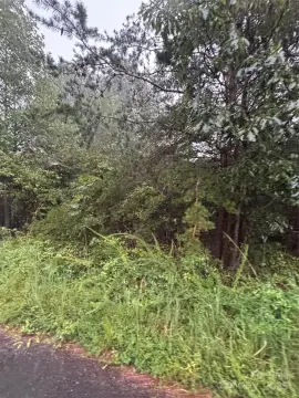 Residential Land in Laurel Ridge