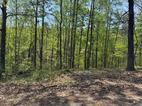 Toccoa, GA Wooded Lot