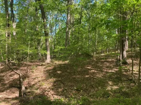 Residential Land in Chickasaw Point