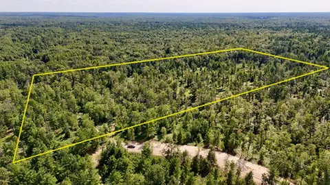 Mature Timber Hunting Land