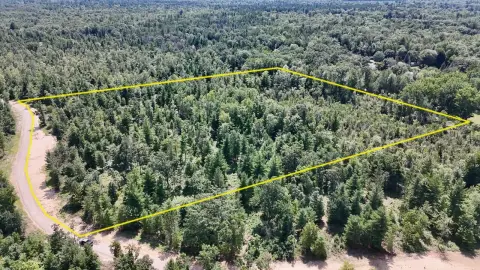 Wooded Hunting Land