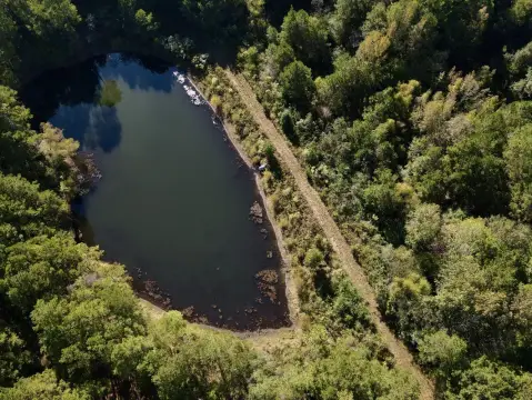 Gardendale Land with Recreational Potential