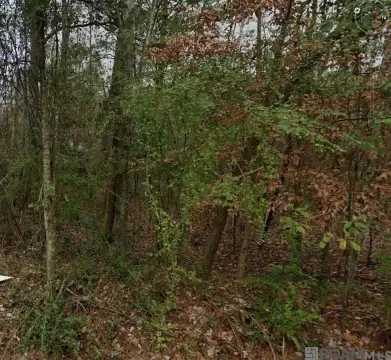 Residential Land in Covington, LA