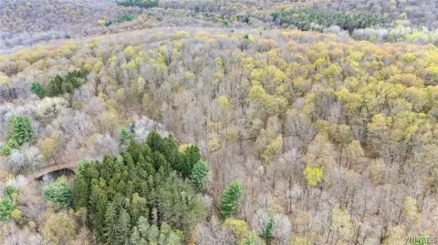 Wooded Lot with Utilities