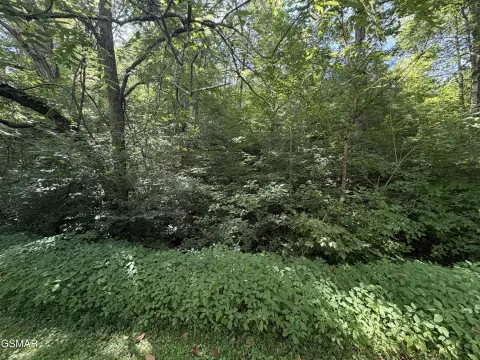 Residential Land Lot with Utilities