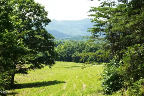 Agricultural Land Tract with Views