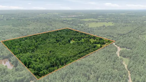 Hunting Land Tract with Cabin Remains
