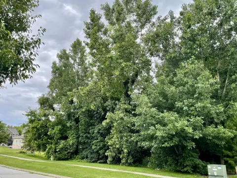 Wooded Residential Lot in Community