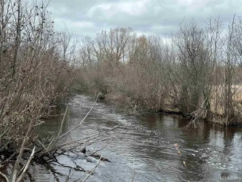 Land with Iron River Frontage