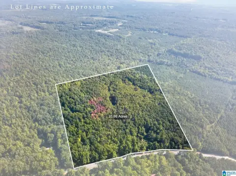 Wooded Hunting Land