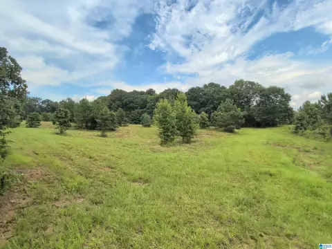 Unrestricted Hunting Land with Pasture