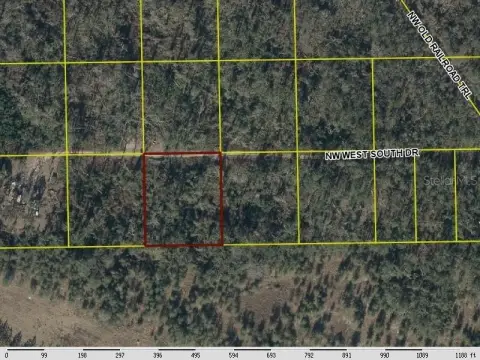 Wooded Land Parcel