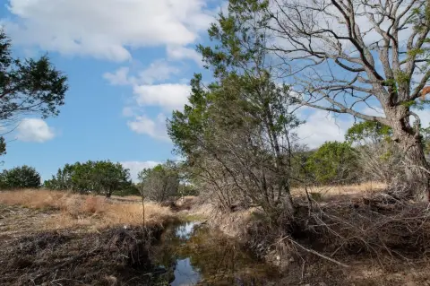 Burnet Oaks Estate Homesite
