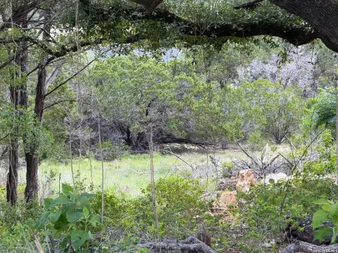 Canyon Lake Residential Lot