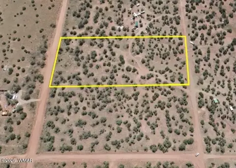 Residential Building Lot with Trees