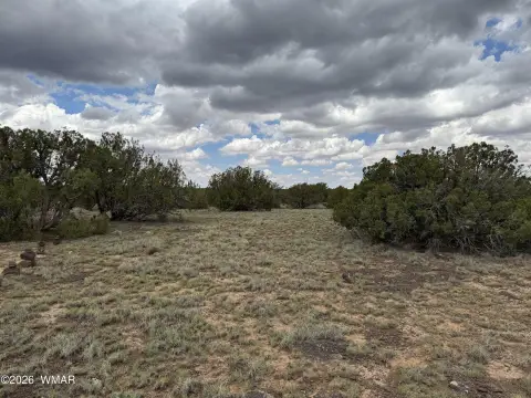 Recreation Land Acreage