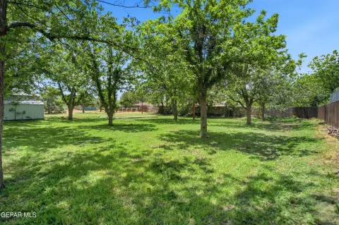 Fenced Residential A-1 Acreage