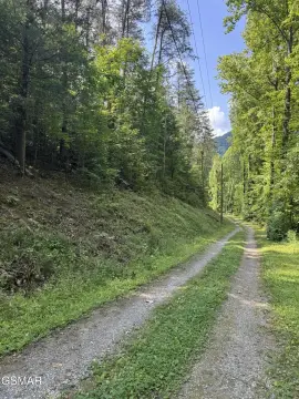 Residential Peninsula Lot in Subdivision