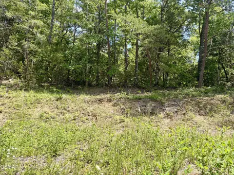 Residential Building Lot with Level Site