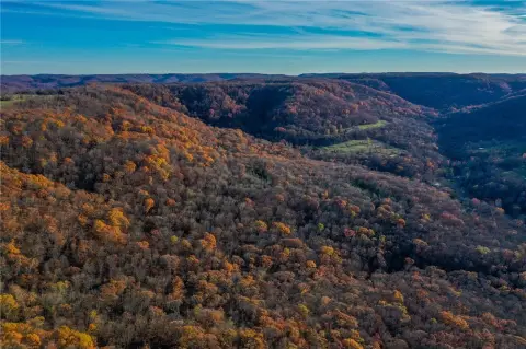Elkins Land Bordering National Forest