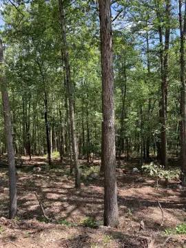 Residential Lot with Mountain Views