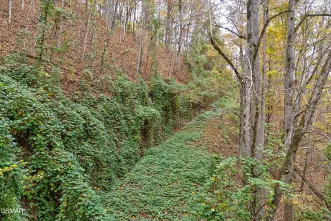 Shagbark Resort Land Package Deal