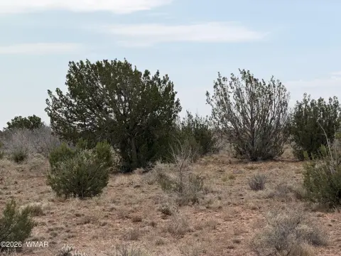 Rural Land Parcel with Water Access