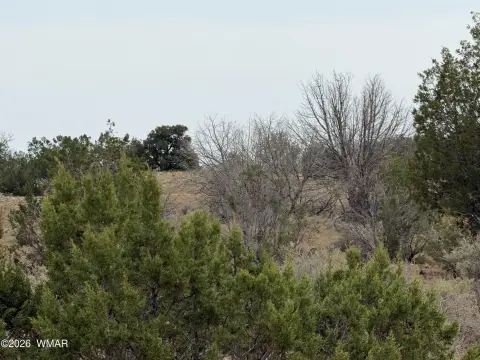 Rural Land Parcel with Water Access