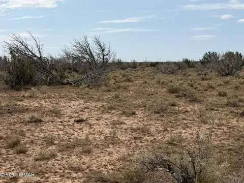Rural Recreational Land Parcel