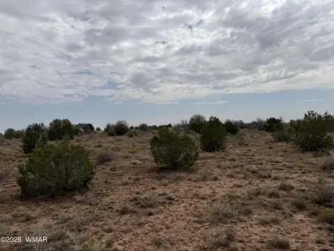 Rural Recreational Land Parcel