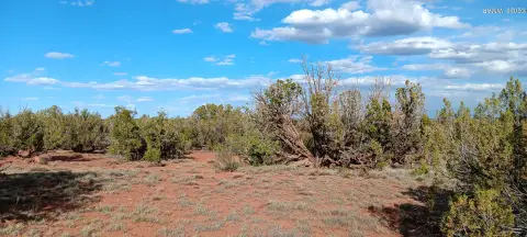Ranch Land with State Land Border