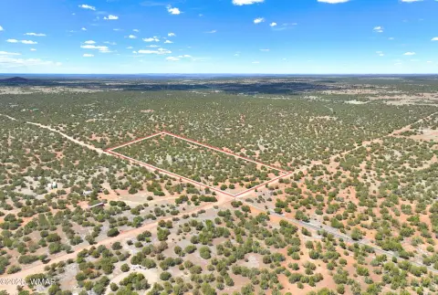 Heavily Treed Residential Development Land