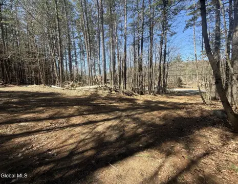 Vacant Land Parcel in Warrensburg