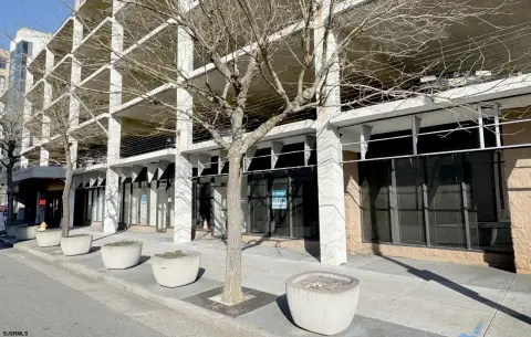 Window-Lined Office and Medical Suites